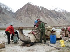 35 Unloading The Camels In The Sarpo Laggo Valley At Sughet Jangal 3900m K2 North Face China Base Camp.jpg